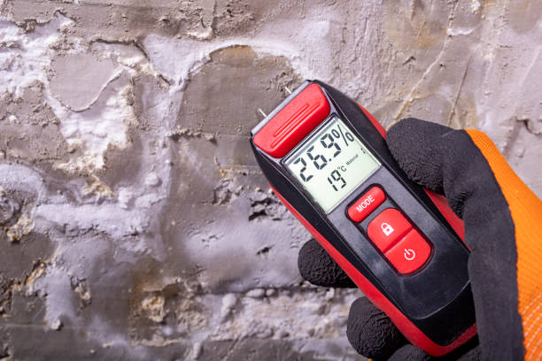 Best Water Damage Restoration  in Wabasha, MN
